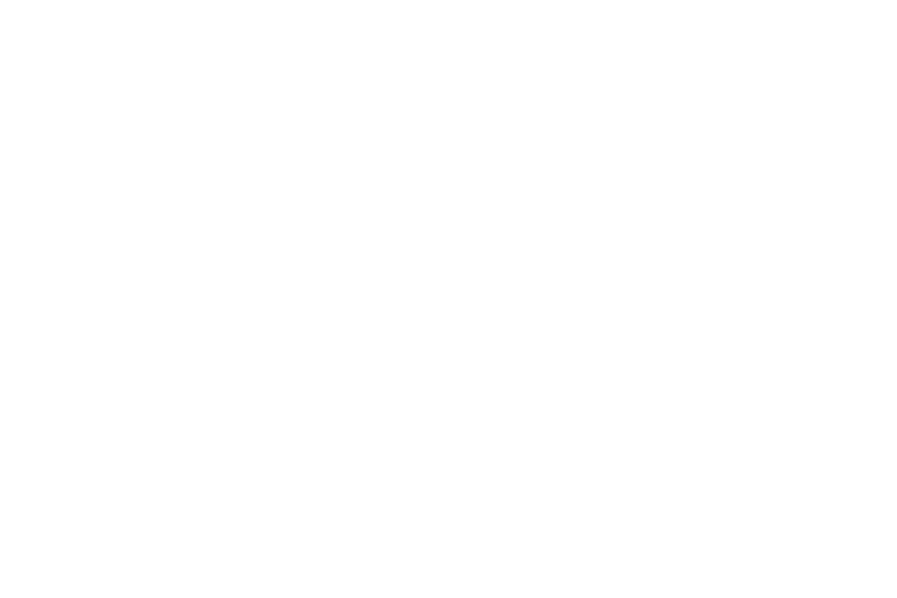 Lyft